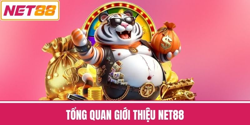 Tổng Quan Giới thiệu NET88