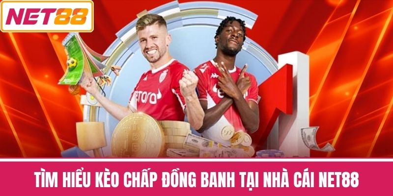 Tìm Hiểu Kèo Chấp Đồng Banh Tại Nhà Cái NET88