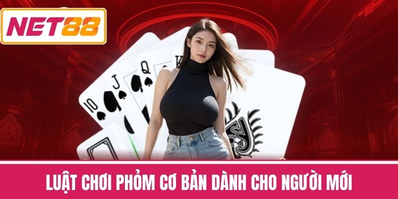 Luật Chơi Phỏm Cơ Bản Dành Cho Người Mới